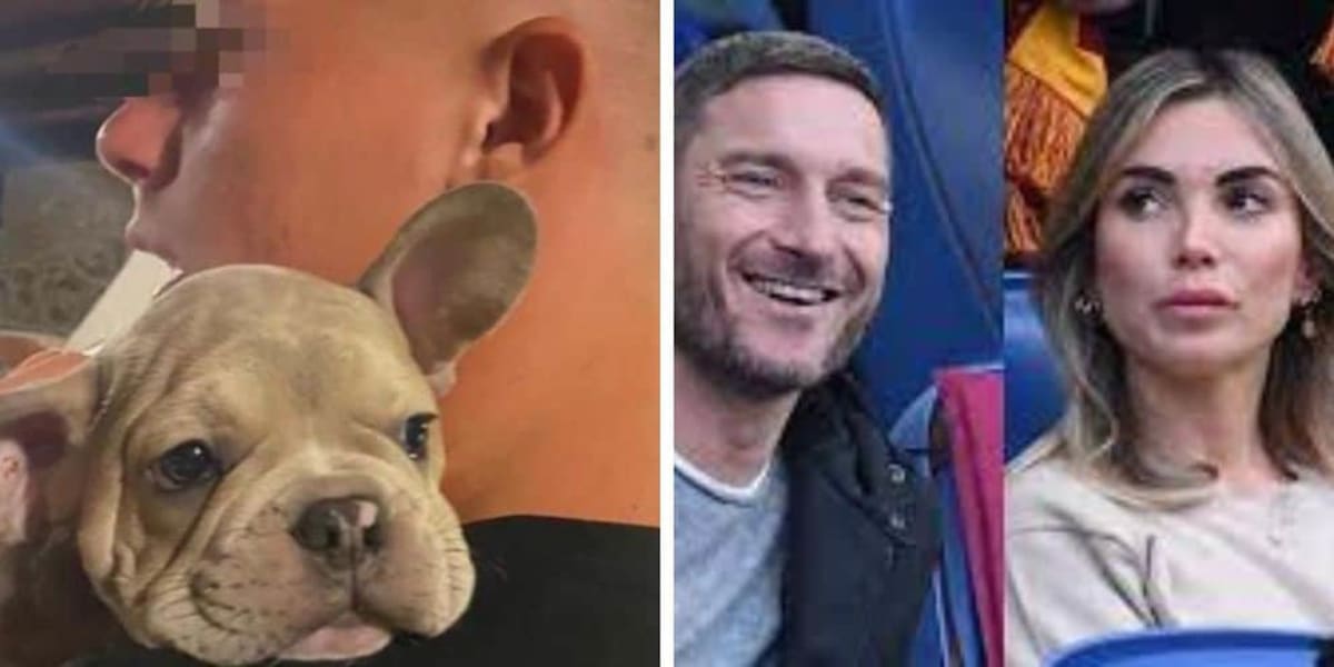 Il dramma di Totti e Noemi: è scomparso il cane regalato a Cristian