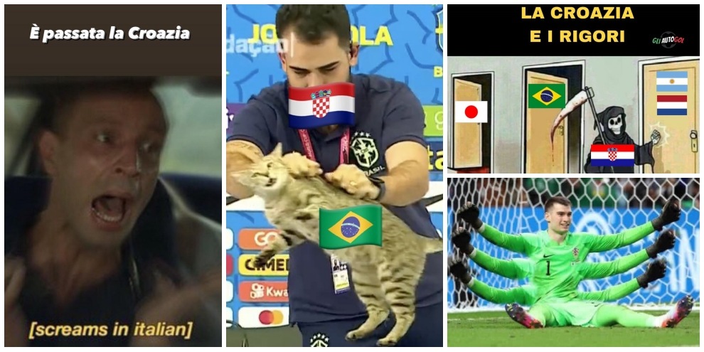 Brasile fuori dal Mondiale, social impazziti: "È la vendetta del gatto!"
