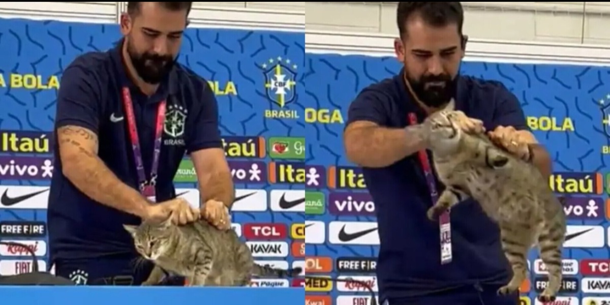 Gatto maltrattato in conferenza stampa: ecco cosa rischia il Brasile
