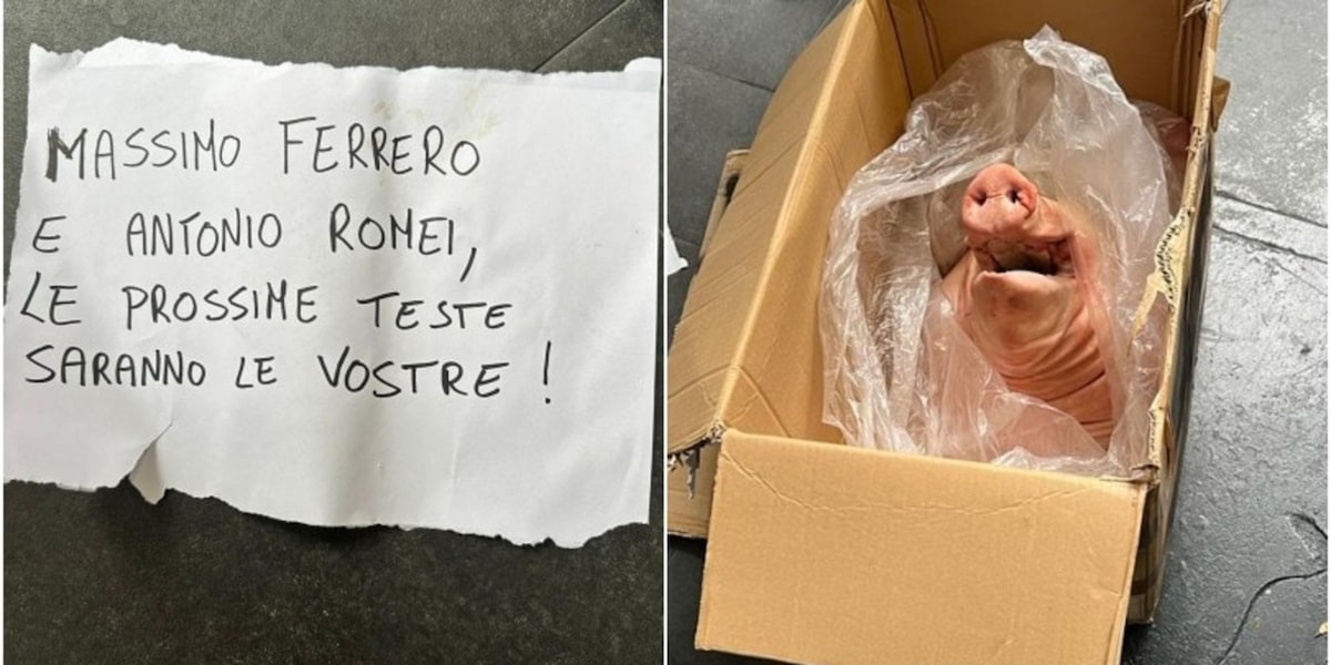 Minacce a Massimo Ferrero e Antonio Romei, le foto scioccanti della testa di maiale