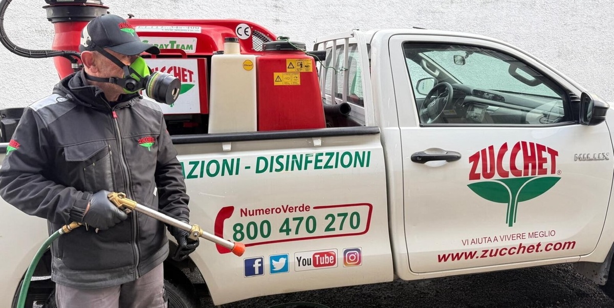 Prevenire le infestazioni: Zucchet e l'approccio consapevole alla disinfestazione