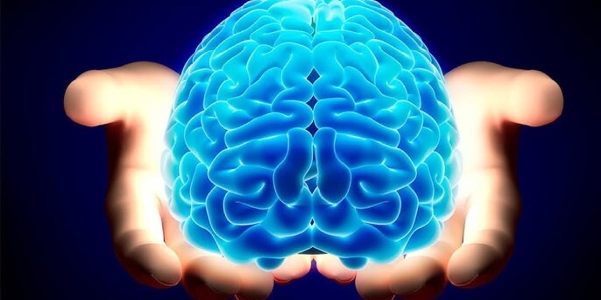 Uno studio rivela cosa succede al cervello prima di morire: spiega anche la visione della luce