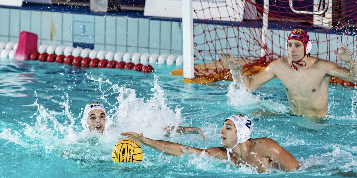Vis Nova, con Bologna snodo cruciale per i playoff