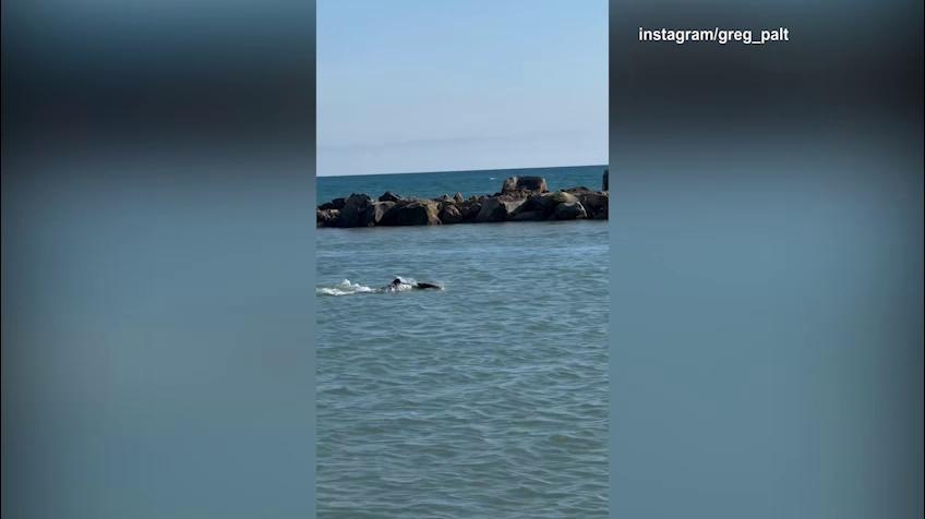 Paltrinieri, che scheggia in mare