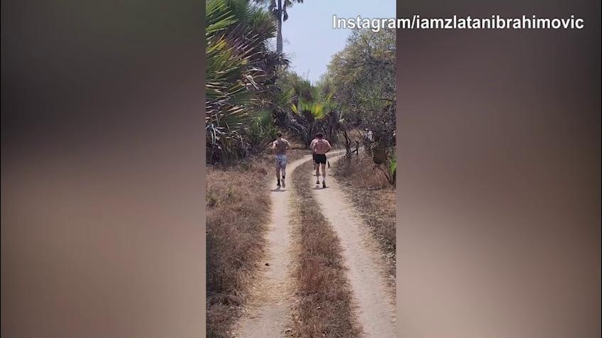 Milan, Ibra corre nel deserto