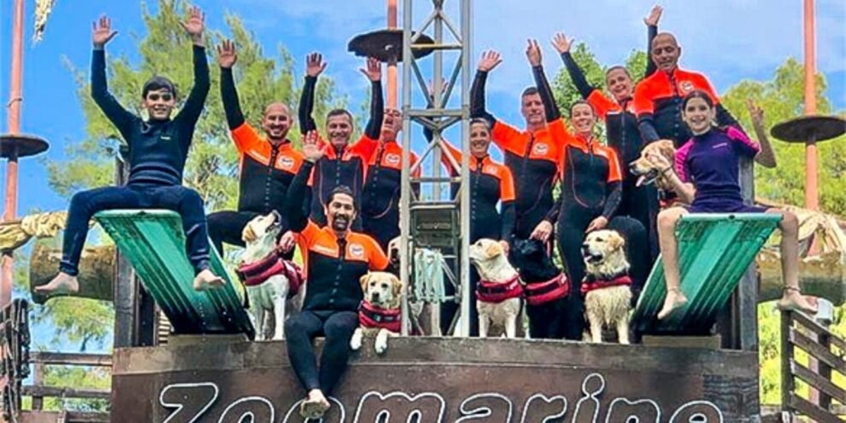 I cani eroi della Sics in acqua per la campagna sul soccorso "A Prova di Zampa"
