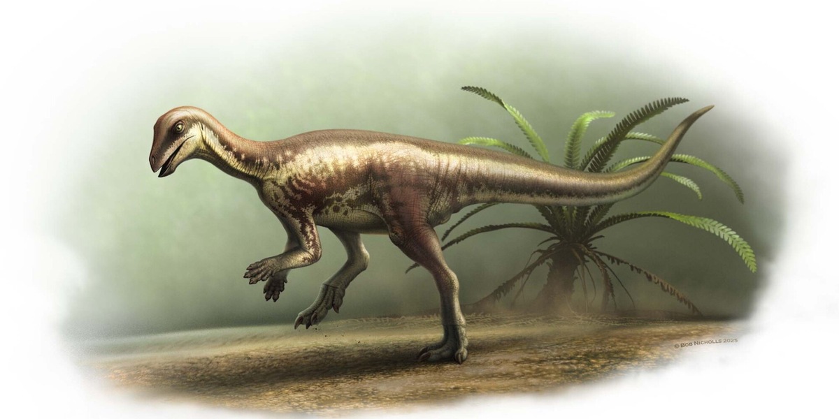 Scoperto nuovo dinosauro grande come un cane: schivava carnivori giganti e coccodrilli assassini