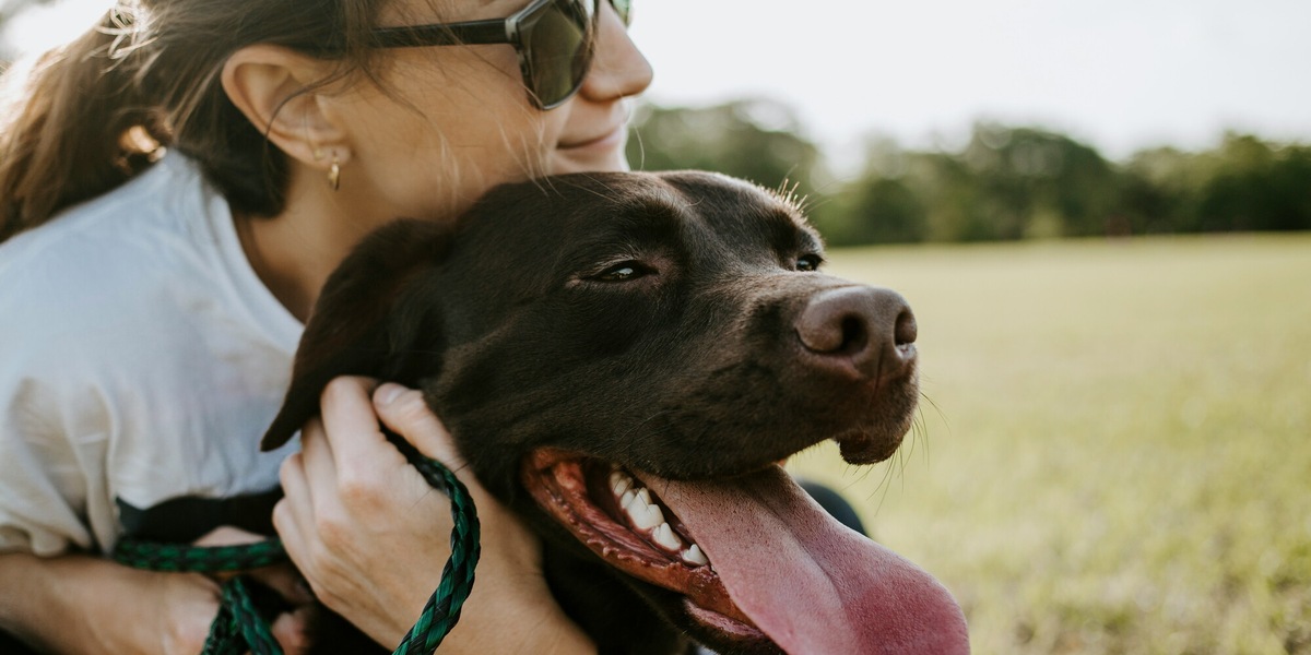 Abbracciare i cani a volte è sbagliato, ecco il gesto che li fa sentire amati per davvero