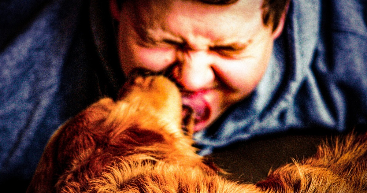 Il tuo cane non ti lecca perché ti ama, il vero motivo è un altro