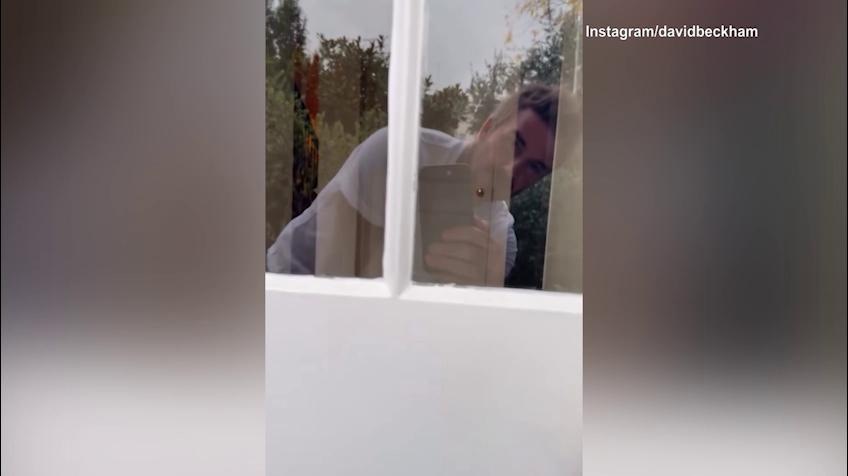 Beckham festeggia con Simba la giornata dei cani