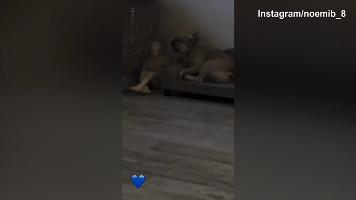Totti in campo per Operazione Nostalgia, Noemi lo guarda mentre il cane...