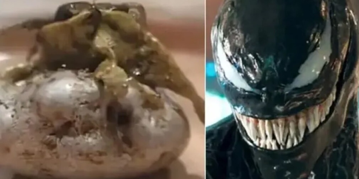 Venom esiste davvero? La strana creatura apparsa a Panama dopo la caduta di un meteorite