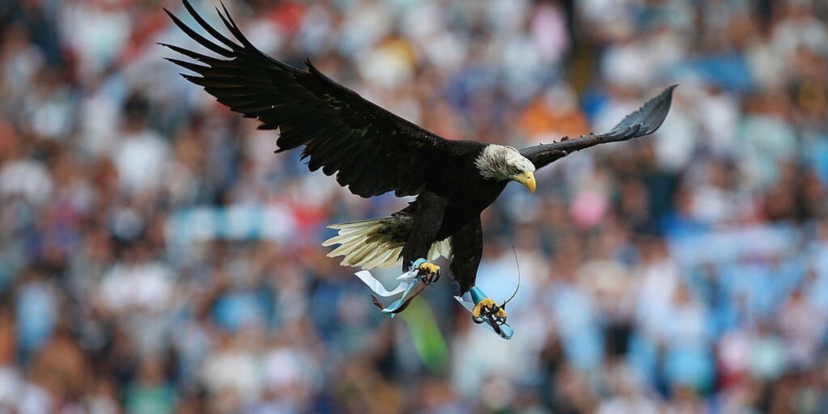 Lazio, Bove, cronaca e Juve: le ultimissime
