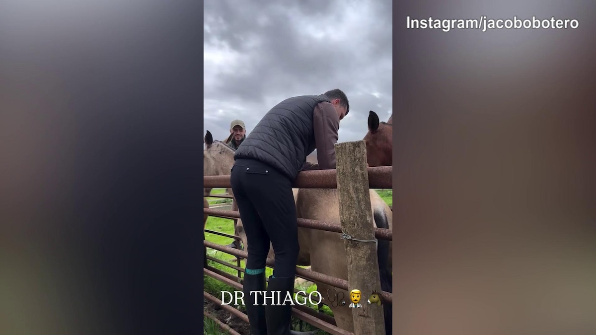 Riecco Thiago Motta: il tecnico coccola un...cavallo