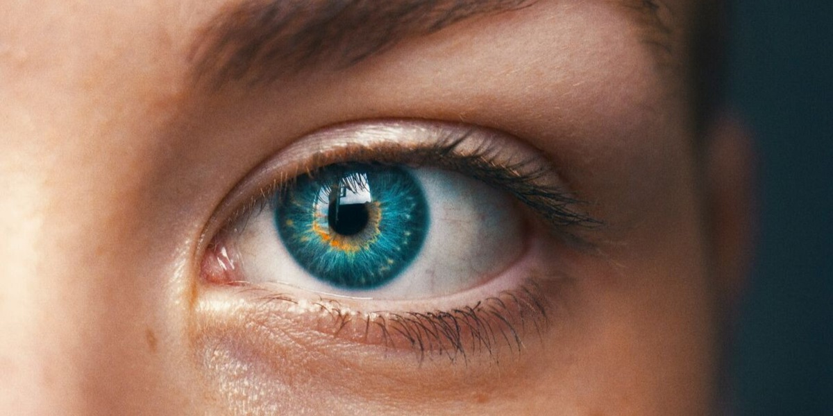 Dalla fauna marina all’uomo: il virus che colpisce gli occhi e preoccupa gli esperti