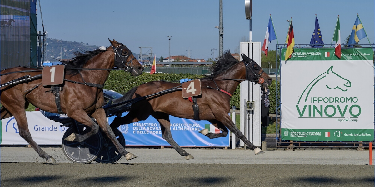 Ippica, Torino: Gran Premio Costa Azzurra, trionfo di Always EK. Nei Derby 4 anni a segno Giovaz e Guglielmo Jet