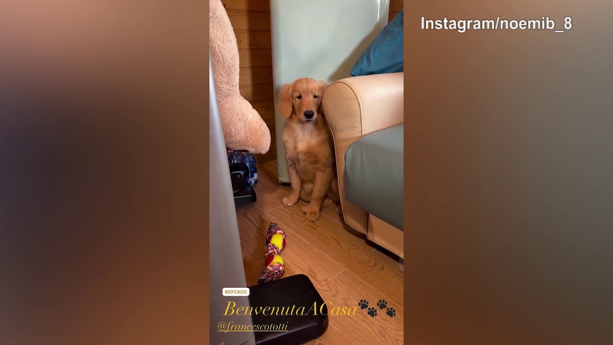 Nuovo arrivato in casa Noemi Bocchi: di chi si tratta?