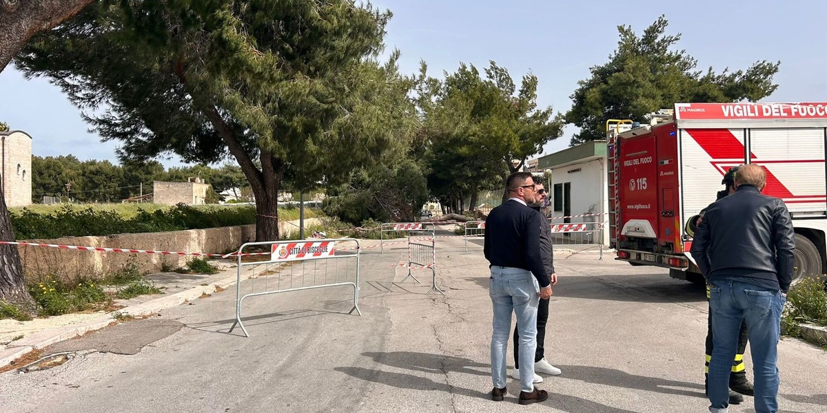 Albero cade per il vento a Bisceglie, muore ragazzina 12enne