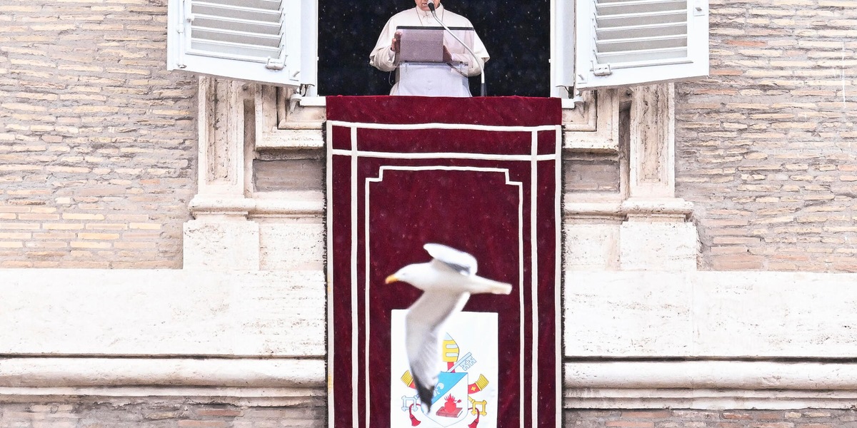 Il Papa, 'ladro chi fa la guerra, ruba un futuro di pace'