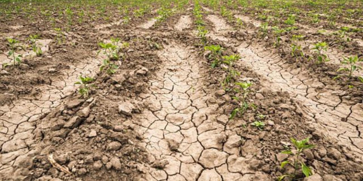 In Ue 156mila chilometri quadrati colpiti dalla siccità, come 6 volte la Sicilia