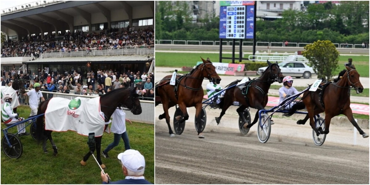 Napoli, cresce l'attesa per il 77° Gran Premio Lotteria: i dettagli