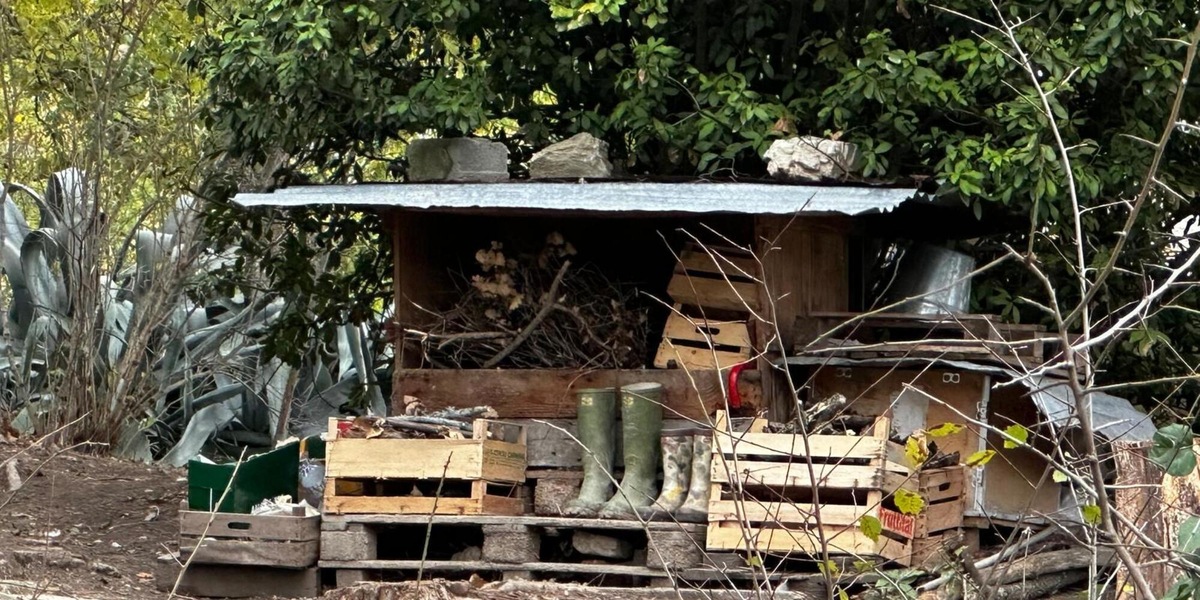 Famiglia nel bosco, gli avvocati rinunciano al mandato