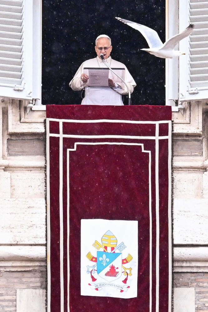 Il Papa, 'le polarizzazioni e il disprezzo portano distruzione'