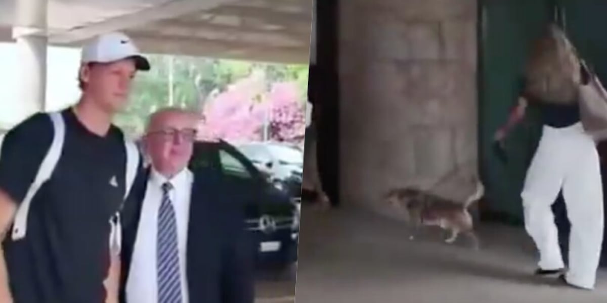 Sinner torna a casa dopo le vacanze in Sardegna: le foto con Laila Hasanovic e il cagnolino