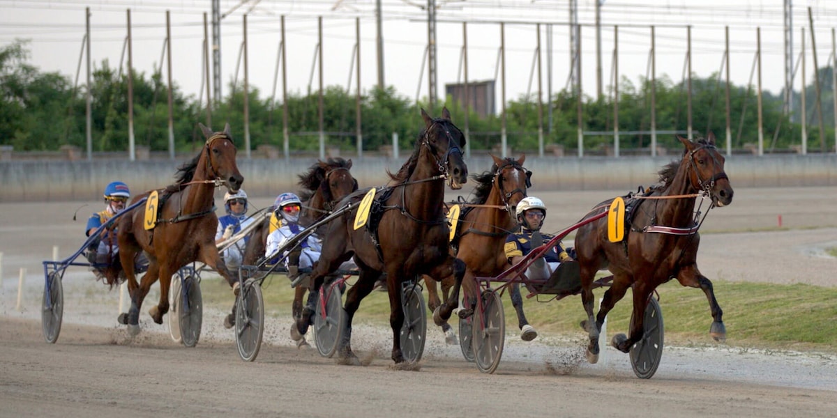 Padova, il Gran Premio Ivone Grassetto ha il suo campo partenti