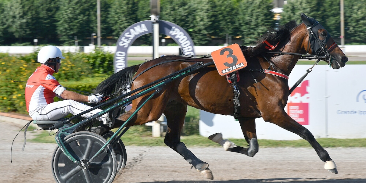 Montecatini, Iridio sbanca il Sesana: vittoria e record nel Premio Scuderia Big David