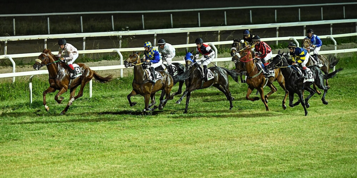 Show a Chilivani, notte di grande ippica in Sardegna