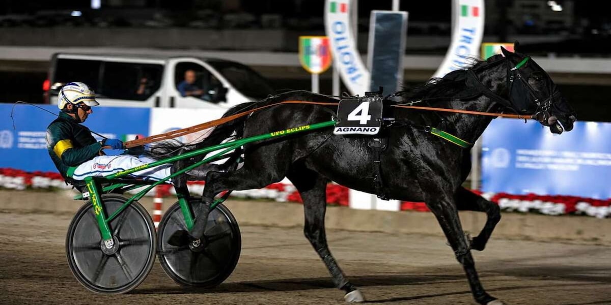 Trotto, sabato al Garigliano va in scena il Gran Premio Freccia d’Europa