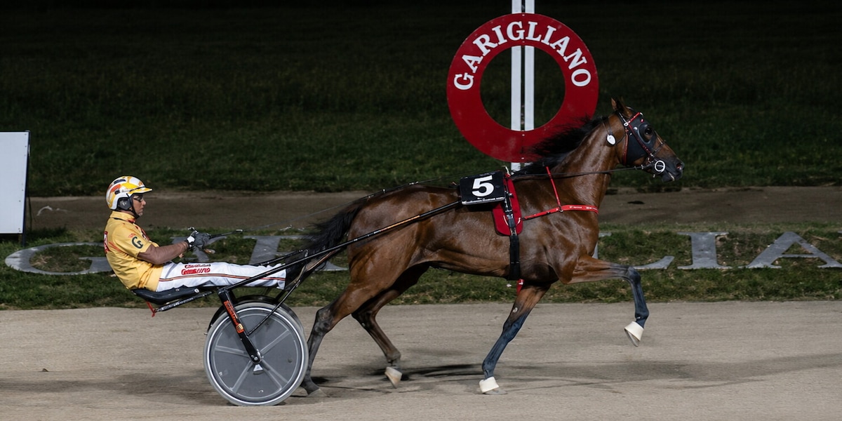 Gran Premio Freccia d’Europa, Funny Gio domina al Garigliano