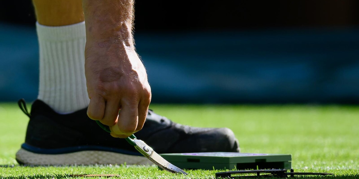 A Wimbledon è tutto pronto nei dettagli: si misura l'altezza dell'erba con il righello e si taglia ciuffo per ciuffo