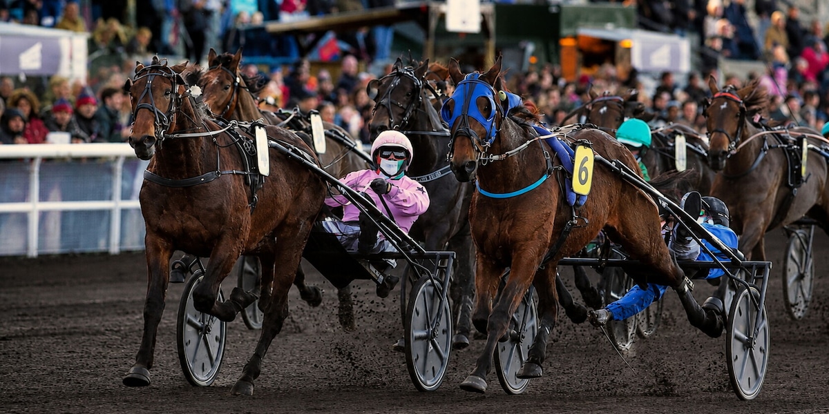 Norvegia, domenica l’Ulf Thoresen Grand International: l'Italia con Executiv Ek e Alessandro Gocciadoro