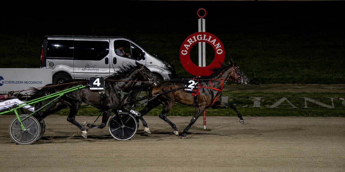 Il Trio Jet domina il Gran Premio Città di Napoli 2026, In The Night Gar reginetta del Filly