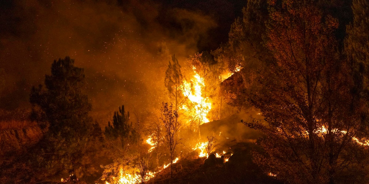 Bosco in fiamme in Spagna, almeno 12 morti