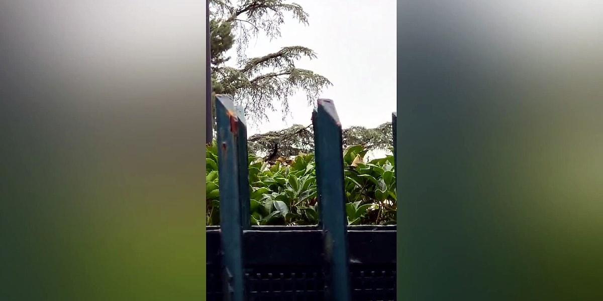 Milan, l'elicottero di Cardinale lascia Milanello