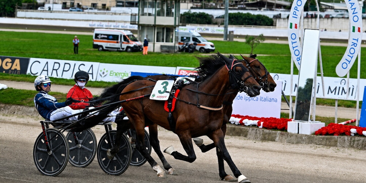 Weekend con le classiche: trotto a Foggia e Montecatini, galoppo a Siracusa