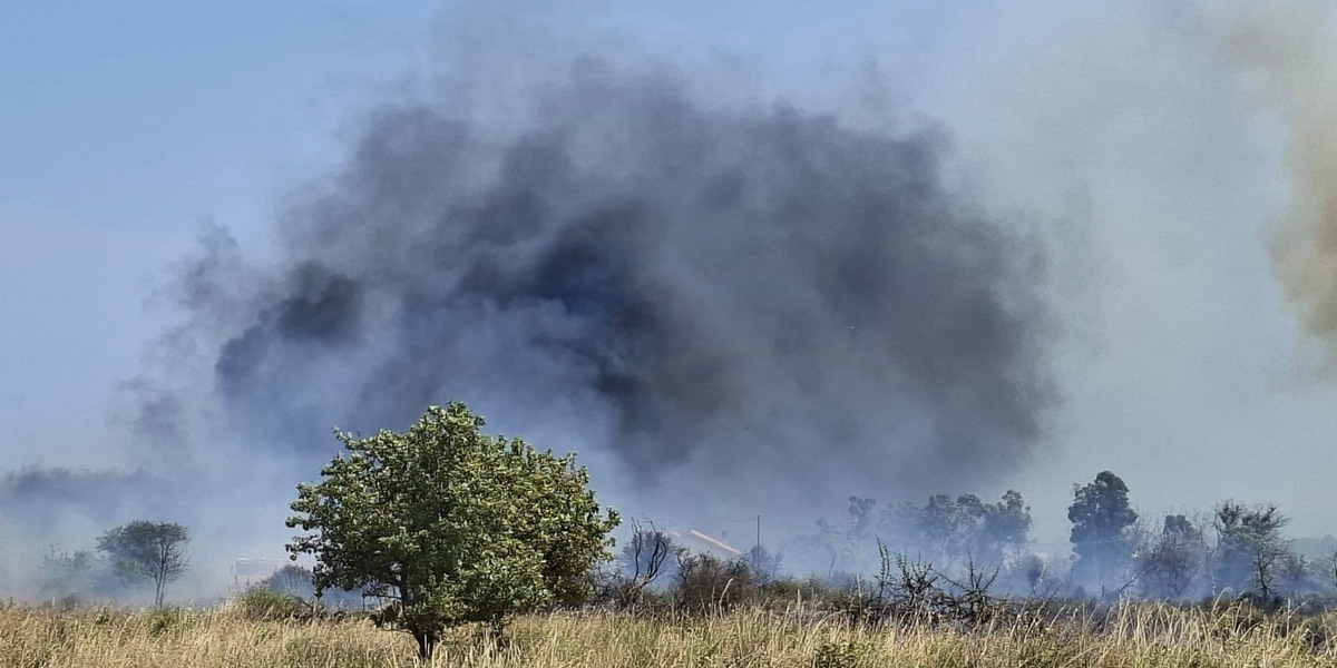 Incendi in Basso Molise, evacuati campeggi, chiuse statale e ferrovia