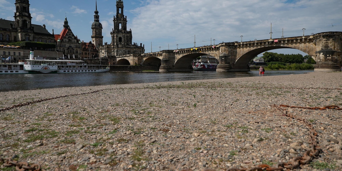 Caldo record in Germania, a giugno 9600 decessi in una settimana