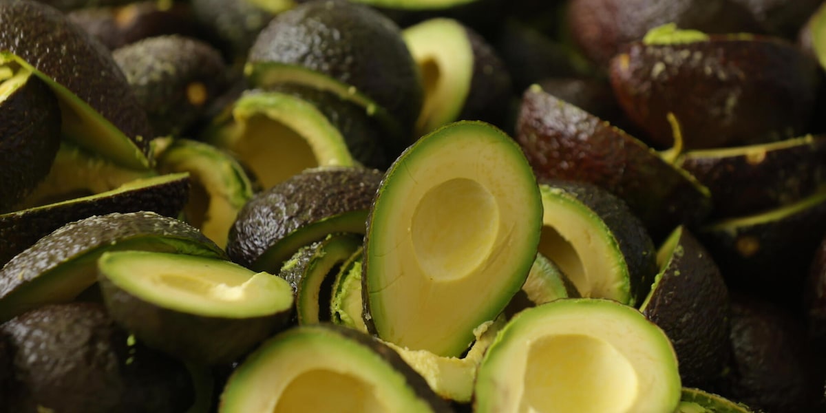 Il Messico annuncia misure per riprendere l'export di avocado negli Usa