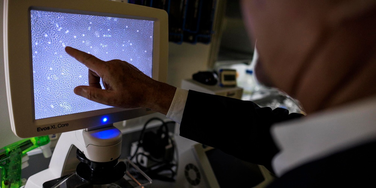 Nyt, 'scienziati usano l'IA per creare nuovi virus, è la prima volta'