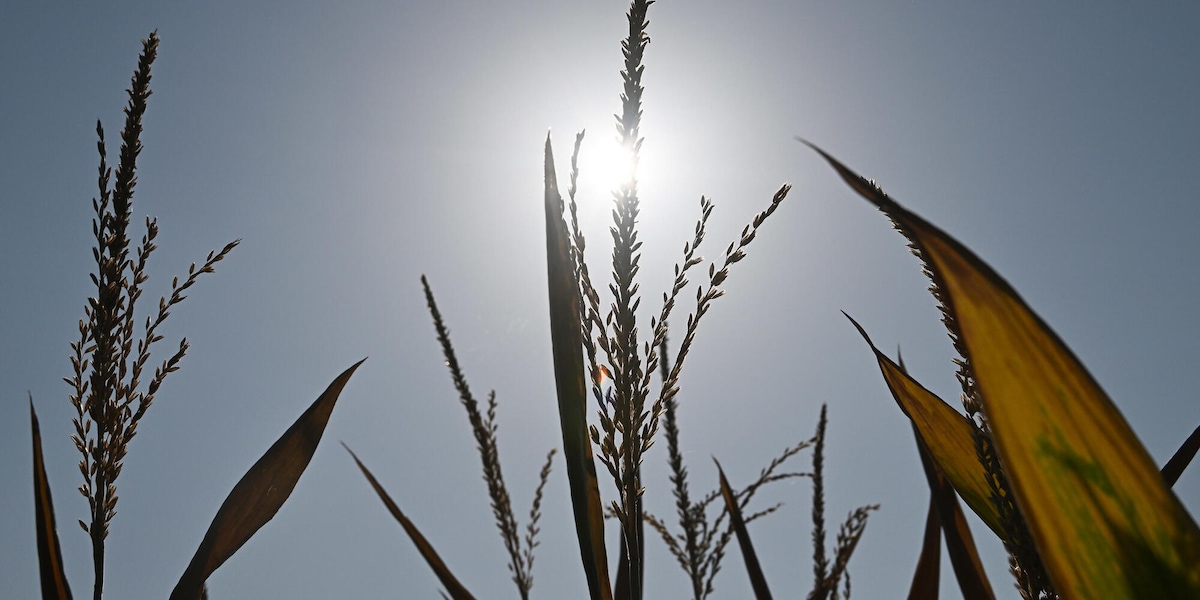 Siccità, costi triplicati per l'Italia con 2 gradi in più