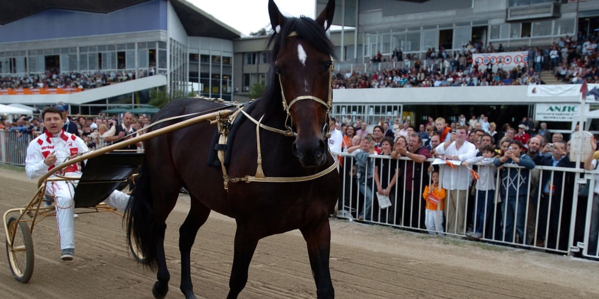 Addio a Varenne, il cavallo più forte nella storia