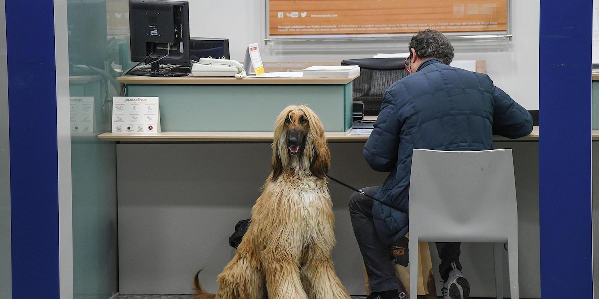 E' caro conto-corrente, la spesa è salita del 23% in 10 anni