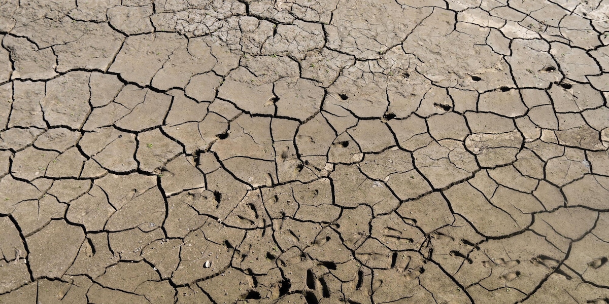 Guardian, 'almeno 35.000 morti in Europa per ondate calore di questa estate'