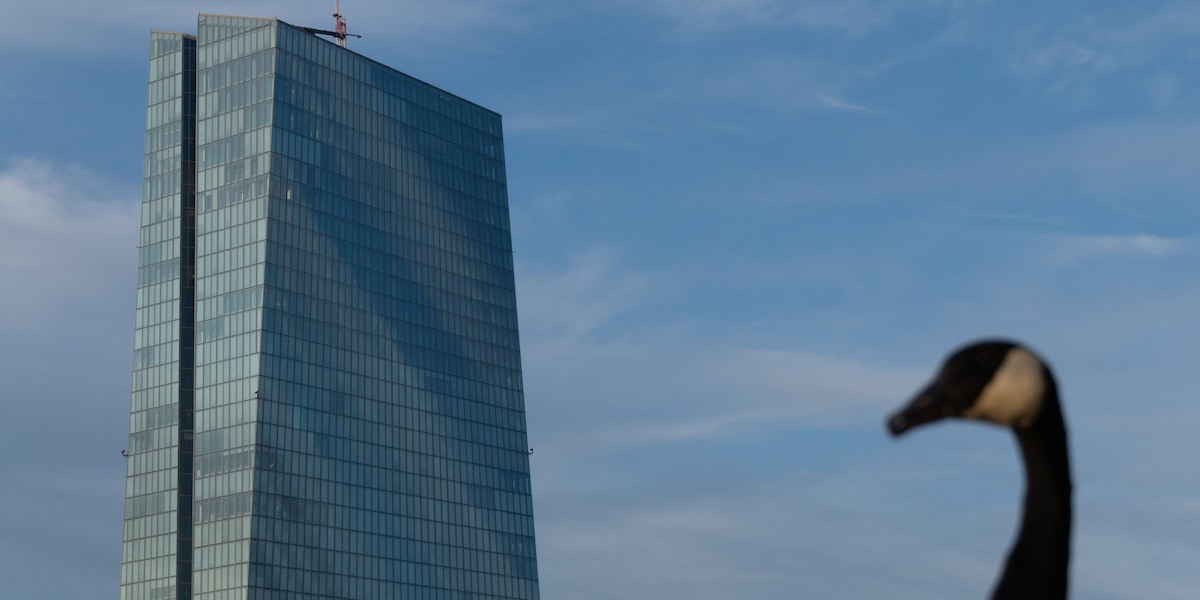 Bce, raddoppia l'uso dell'Ia ma la metà dei dipendenti è frenata