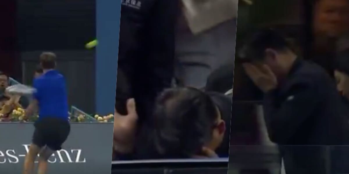 Medvedev, ma che fai? Tira una pallina in tribuna e colpisce un tifoso