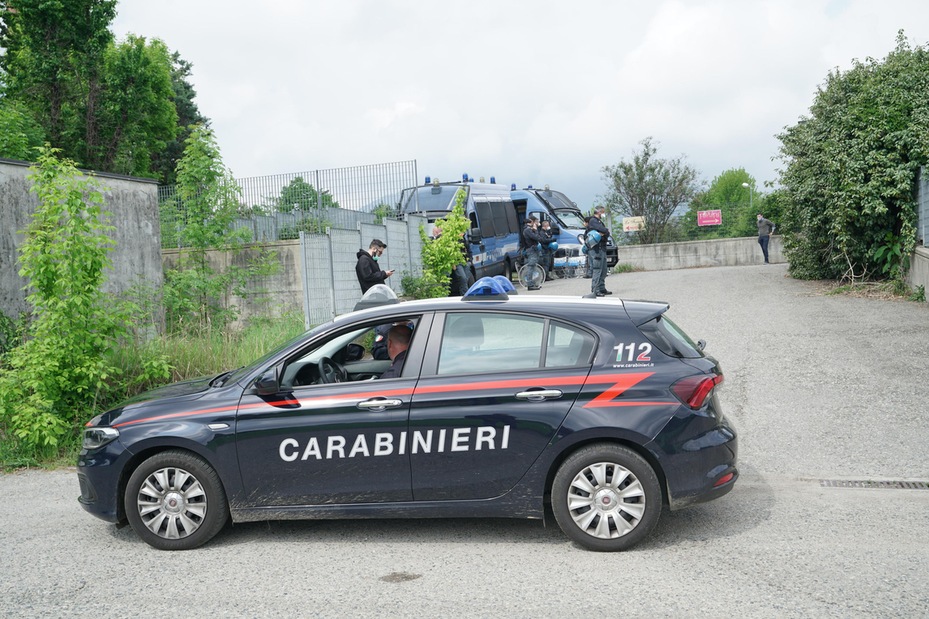 Una pantera a Benevento: la polizia la cerca